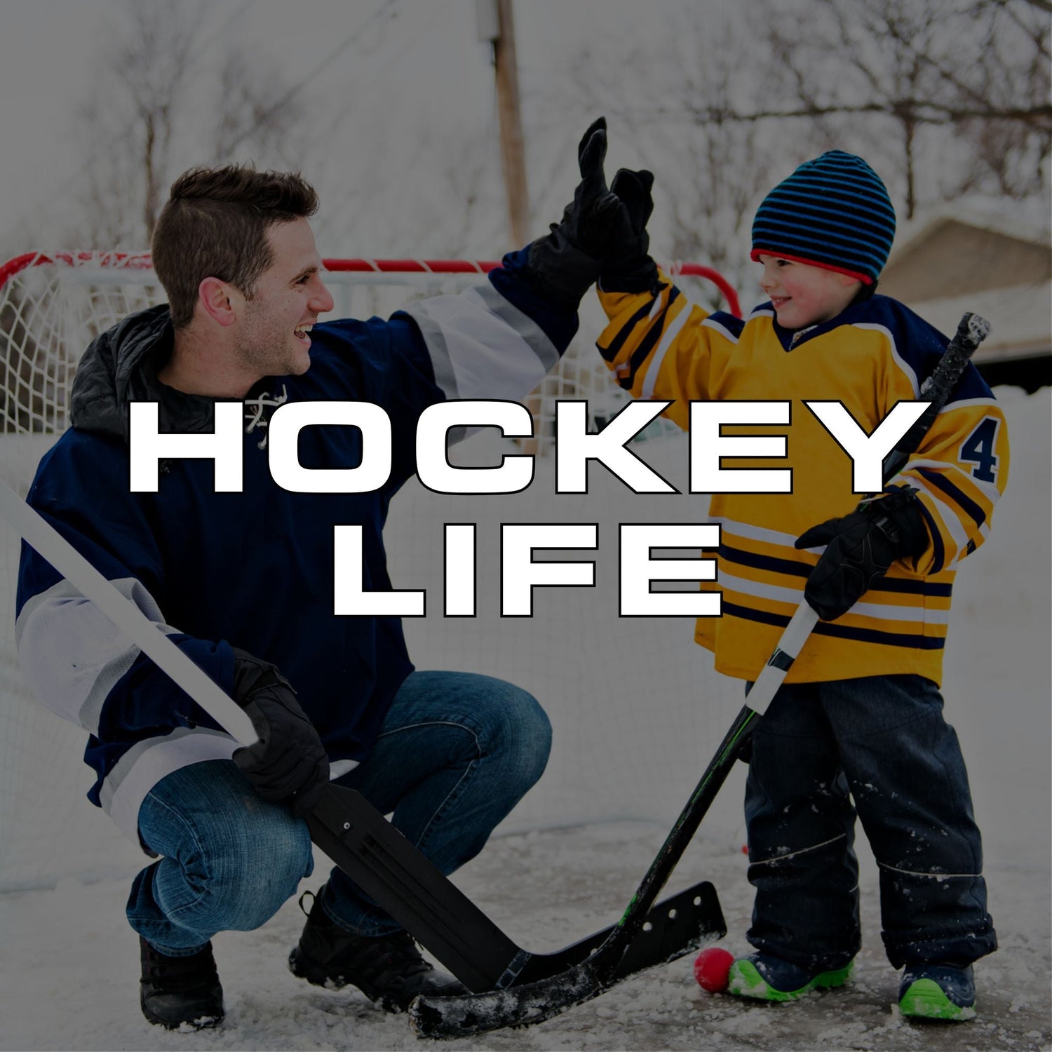 Hockey Life Collection